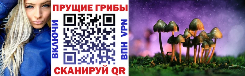 купить   Глазов  Псилоцибиновые грибы прущие грибы 