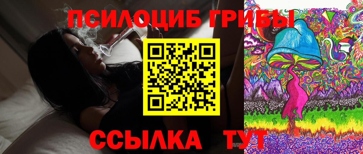 Псилоцибиновые грибы GOLDEN TEACHER Глазов