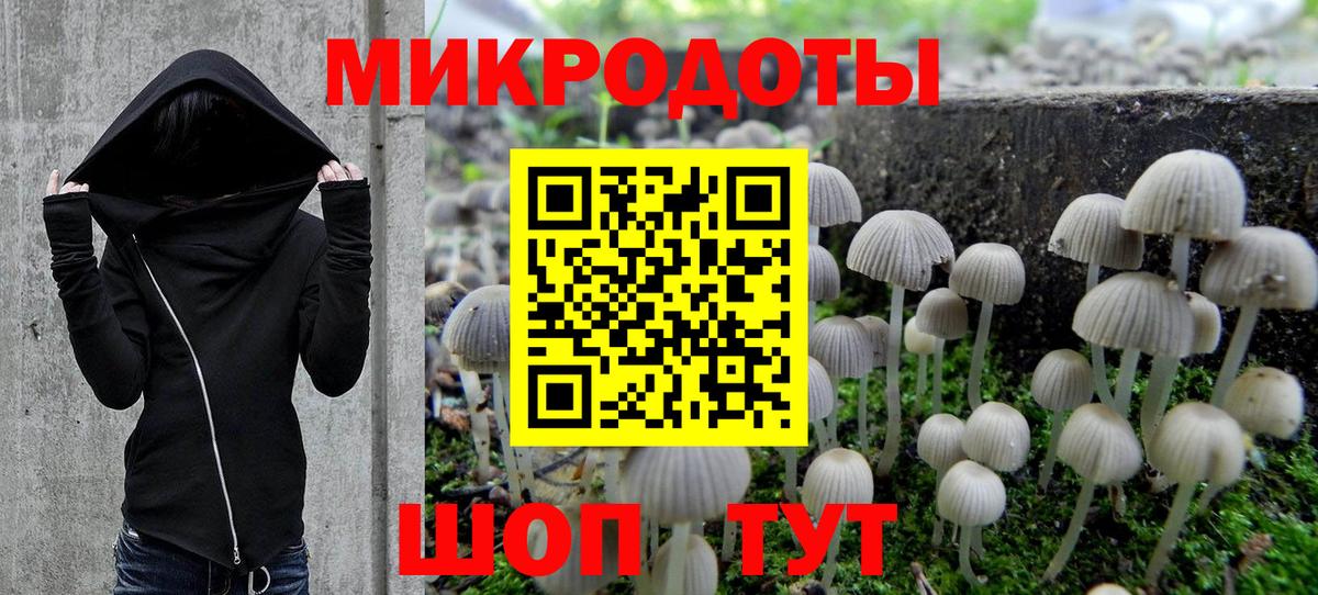 Галлюциногенные грибы Cubensis  Глазов 